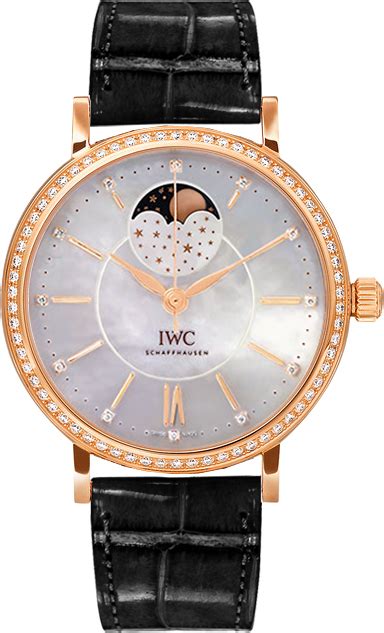 iwc iw459002 price|IW459002.